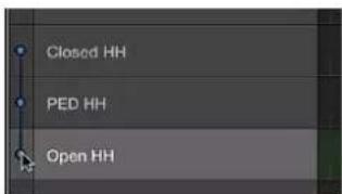 Closed HH PED HH Open HH