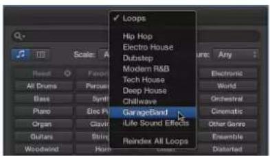 Loops Hip Hop Electro House Dubstep Modern R&B Tech House Deep House Chillwave GarageBand iLife Sound Effects Reindex All Loops