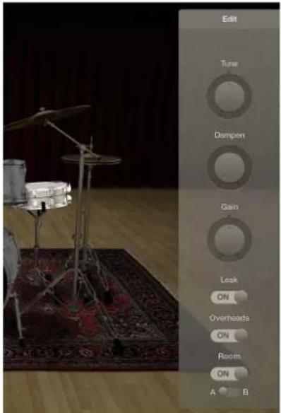 Edit Tune Dampen Gain Lock ON Overheads ON Room ON A B