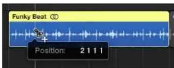 Funky Beat Position: 2 1 1 1