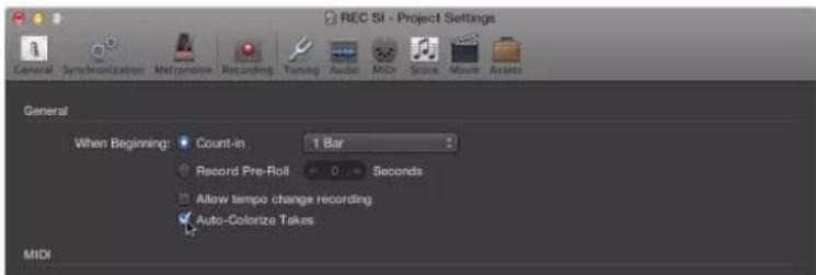 REC SI - Project Settings. General. Synchronization. Melipoma. Recording. Tuning. Audio. MIDI. Scene. Move. Assets. General. When Beginning: Count-in. 1 Bar. Record Pre-Roll. 0. Seconds. Allow tempo change recording. Auto-Colorize Takes. MIDI