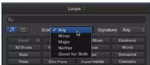 Loops: Scale: ✓ Any Signature: Any Minor Major Neither Good for Both Blues Electronic All Drums F Ban World Base Piano Elec Piano Experimental Cinematic