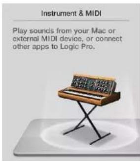 Instrument & MIDI Play sounds from your Mac or external MIDI device, or connect other apps to Logic Pro.