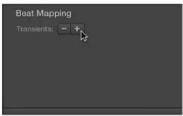 Beat Mapping Transients: - +