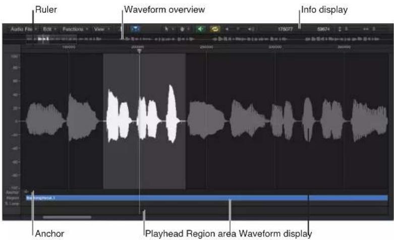 Ruler, Waveform overview, Info display, Audio File Edit Functions View 175077 53674, Anchor, Playhead, Region area, Waveform display