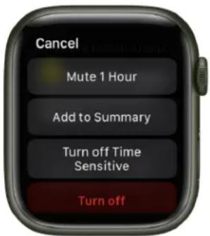 Cancel Mute 1 Hour Add to Summary Turn off Time Sensitive Turn off