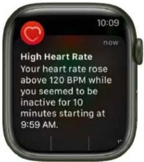 10:09 now High Heart Rate Your heart rate rose above 120 BPM while you seemed to be inactive for 10 minutes starting at 9:59 AM.