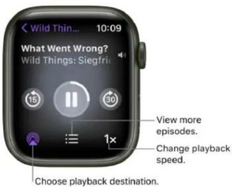 Wild Thin... 10:09 What Went Wrong? Wild Things: Siegfri View more episodes. Change playback speed. Choose playback destination.