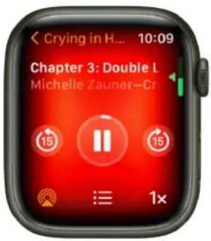 < Crying in H... 10:09 Chapter 3: Double L Michelle Zauner-Cr