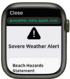Close weather-data.apple.com Severe Weather Alert Beach Hazards Statement