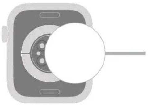 Pure diagram of a device with a circular component and pointer, no text or symbols present.
