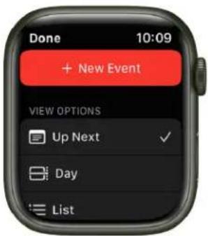 Done 10:09 + New Event VIEW OPTIONS Up Next ✓ Day List