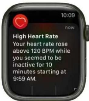 10:09 now High Heart Rate Your heart rate rose above 120 BPM while you seemed to be inactive for 10 minutes starting at 9:59 AM.
