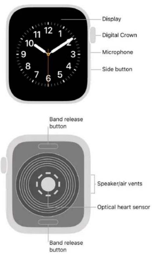 APPLE Watch Series 8 - Your Apple Watch - 2