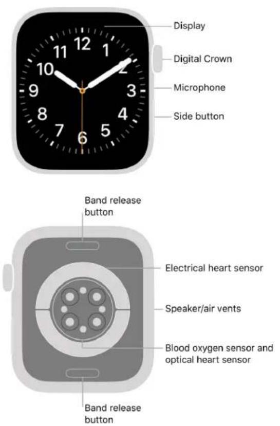 APPLE Watch Series 8 - Your Apple Watch - 1