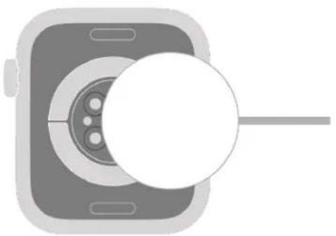 Pure diagram of a device with a circular component and pointer, no text or symbols present.