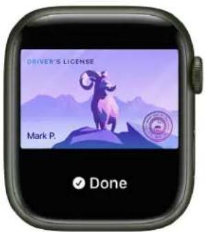 DRIVER'S LICENSE Mark P. Done