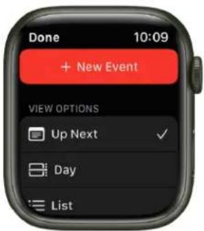 Done 10:09 + New Event VIEW OPTIONS Up Next ✓ Day List