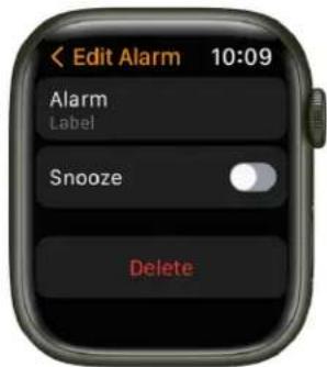 < Edit Alarm 10:09 Alarm Label Snooze Delete