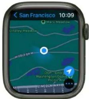San Francisco 10:09 Mark Meadow Lindley Meadow MIDDLE ROAD GDP- Georgia Washington Grove & Picnic Area LINCOLN WAY