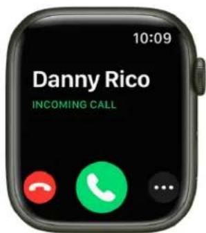 10:09 Danny Rico INCOMING CALL