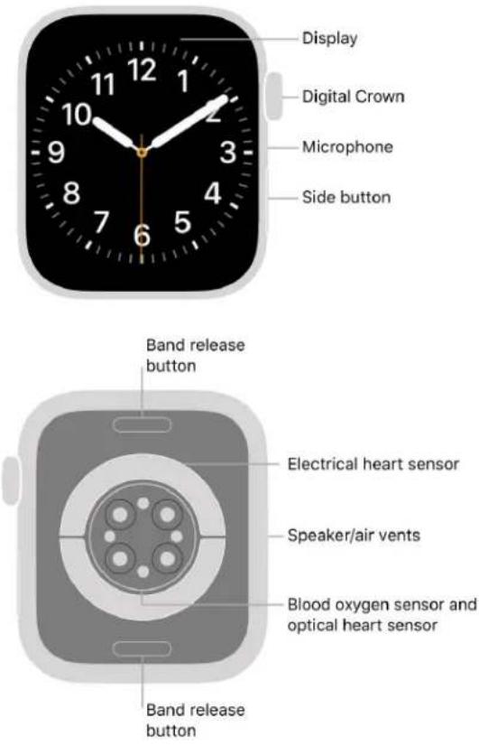 APPLE Watch Series 8 - Your Apple Watch - 3