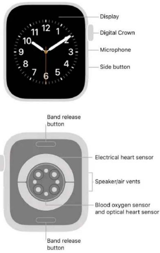 APPLE Watch Series 8 - Your Apple Watch - 4