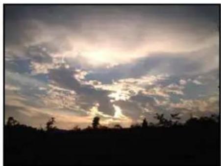 Silhouette of a dramatic cloudy sky with silhouetted trees at the base (no text or symbols visible)