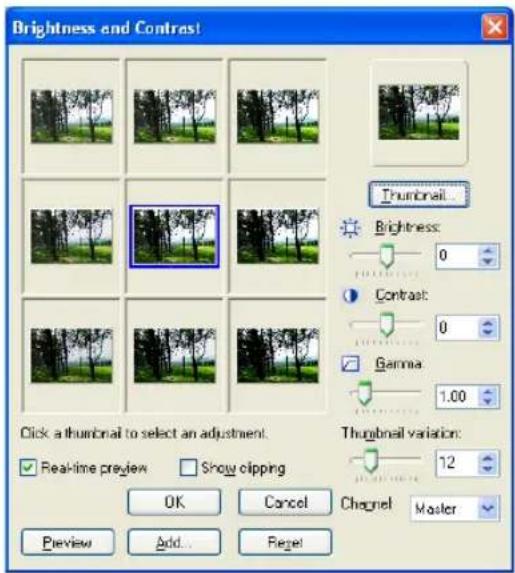 Brightness and Contrast Thunbnail... Brightness: 0 Contrast: 0 Gamma 1.00 Click a thumbnail to select an adjustment. Thunbnail variation: 12 Real-time preview Show clipping OK Cancel Chegnel Master Preview Add... Reset