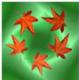 Five red maple leaves arranged in a circular pattern on a green gradient background (no text or symbols)