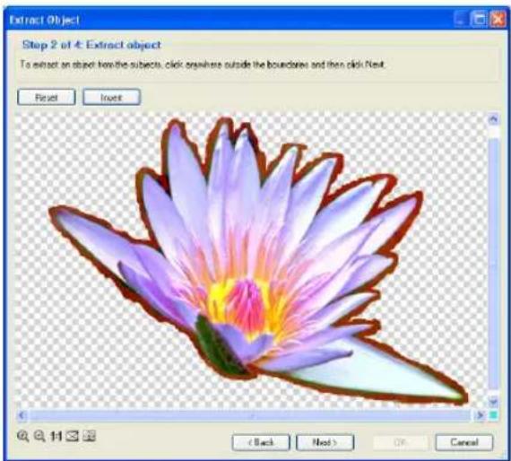 Extract Object Step 2 of 4: Extract object To extract an object from the subjects, click orapiere outside the boundaries and then click Next. Reset Insert < Back Next > OK Cancel