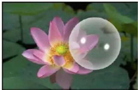Close-up of a pink lotus flower with a translucent bubble floating above it, surrounded by green leaves (no text or symbols)