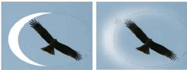 Two-panel image showing a bird in flight against a clear sky, with a crescent moon and a dashed oval outline (no text or symbols)