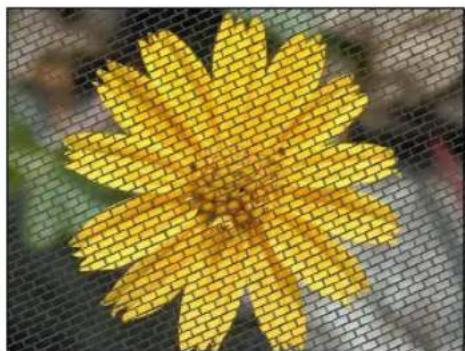 Close-up of a yellow flower with brickwork pattern, set against a dark tiled background (no text or symbols)