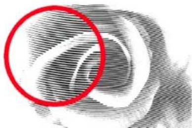 Close-up of a textured surface with a red circle highlighting a specific region (no text or symbols)
