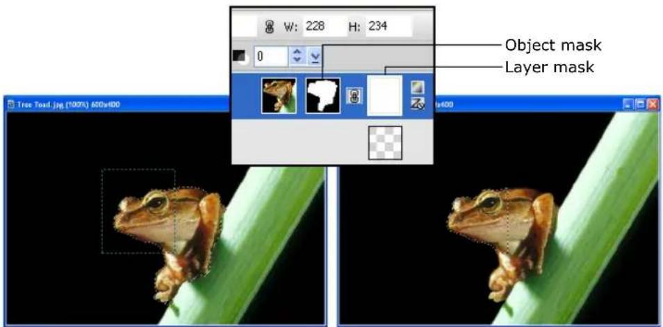 W: 228 H: 234 0 Object mask Layer mask Tree Toad.jpg (100%) 650w400 y400