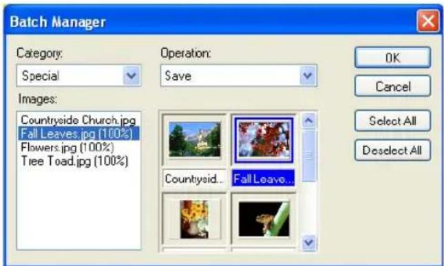 Batch Manager Category: Special Images: Countryside Church.jpg Fall Leaves.jpg (100%) Flowers.jpg (100%) Tree Toad.jpg (100%) Operation: Save Countysid... FallLeave... OK Cancel Select All Doselect All