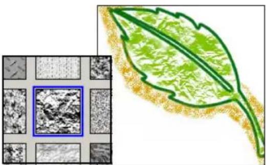 Illustration of a green leaf with textured surface and highlighted region, alongside a grid of small grayscale images (no text or symbols)