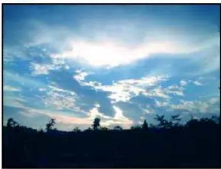 Silhouette of a landscape with scattered clouds and trees against a blue sky (no text or symbols)