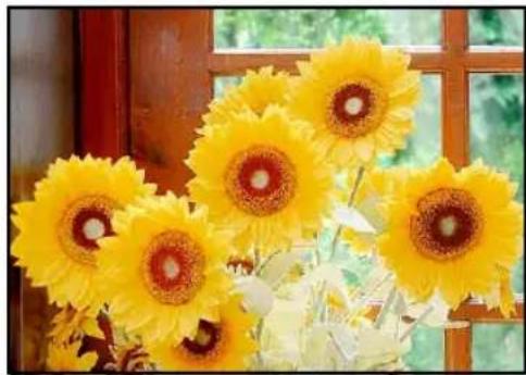 Close-up of yellow sunflowers with brown centers, displayed indoors near a wooden window (no text or symbols visible)