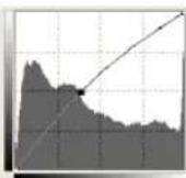ULEAD Photoimpact 12 - To adjust an image using Curves: - 3