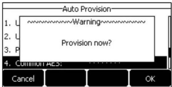 Auto Provision 1. L~~~~~~Warning~~~~~~ 2. L 3. P Provision now? 4. COMMON AES: Cancel OK