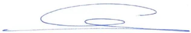 Abstract curved line drawing with no text or symbols