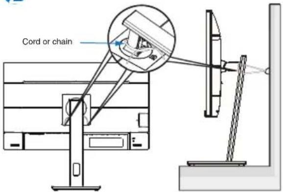 Cord or chain