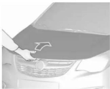 Person applying a car hood to a car, no visible text or symbols