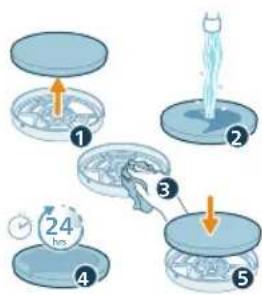 graph TD A["Initial Review"] --> B["Step 1: Blood Pressure"] B --> C["Step 2: Blood Pressure"] C --> D["Step 3: Blood Pressure"] D --> E["Step 4: Blood Pressure"] E --> F["Step 5: Blood Pressure"] style A fill:#cce5ff,stroke:#333 style B fill:#cce5ff,stroke:#333 style C fill:#cce5ff,stroke:#333 styl…