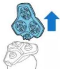 Illustration of a brain with a blue upward arrow indicating growth, no text or symbols.