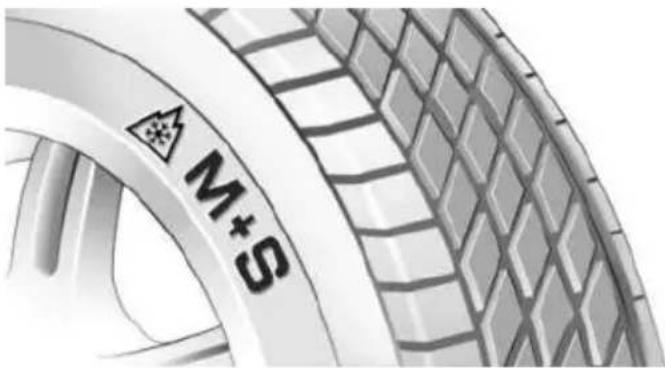 M+S