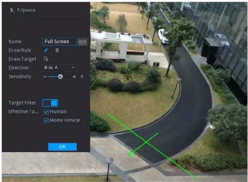 Tripwire Name Full Screen Draw Rule Draw Target Direction B to A Sensitivity - + 6 Target Filter Effective Ta... ✓ Human ✓ Motor Vehicle OK