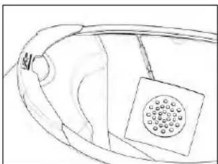 Line drawing of a biological structure with a circular patterned inset (no text or symbols)